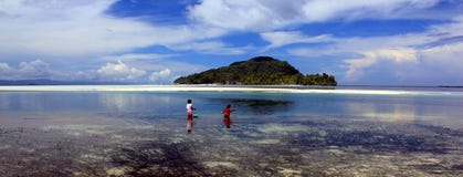 Island scene, Raja Ampat Archipelago, Indonesia